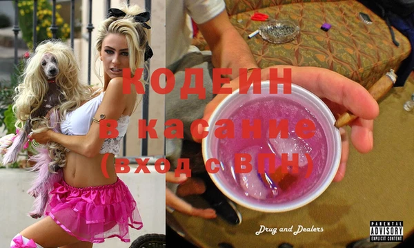 молекула духа Елабуга