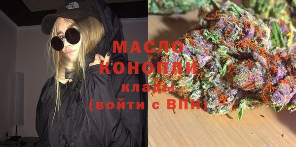 молекула духа Елабуга