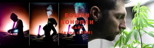 крисы Елизово
