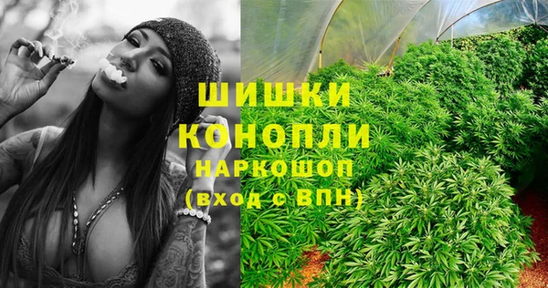 крисы Елизово