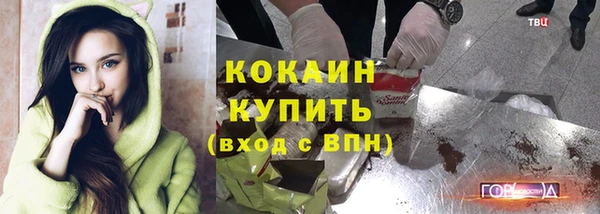 молекула духа Елабуга