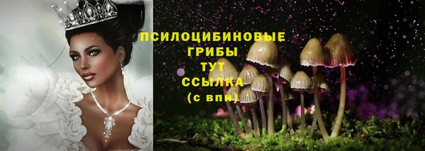 гашишное масло Ельня