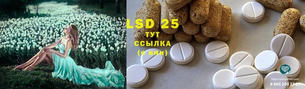 молекула духа Елабуга