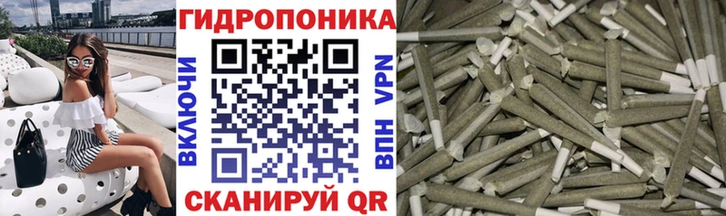 Купить где  Славгород  Шишки марихуана VHQ 